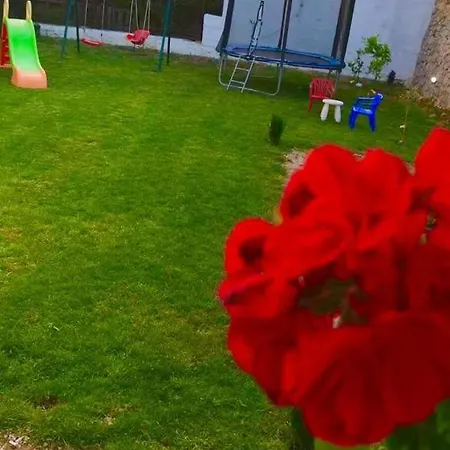 Apartment Fabo In Dalmatien
